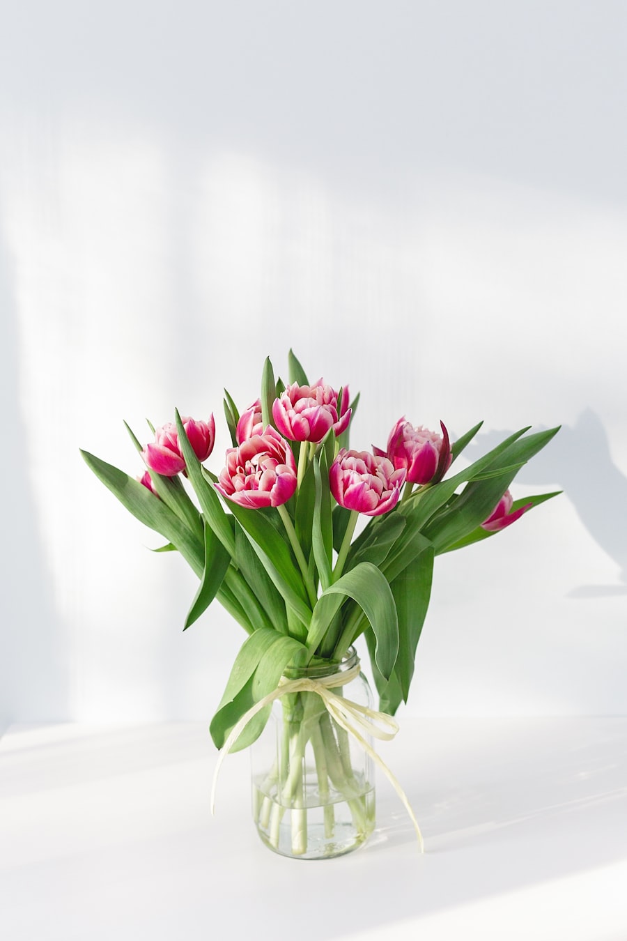 Bloom & Co work